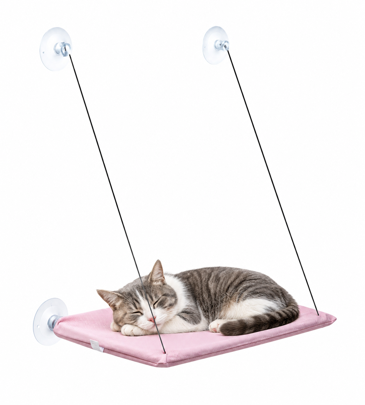 Hamac suspendu pour chat