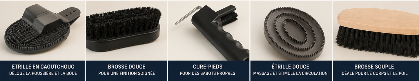 Kit de Pansage Complet – 5 Pièces