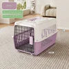 Airline Approved Fashion Foldable Large Pet Transport Box Portable Wire Door Wholesale Dog & Cat Travel Cage Vet Visit