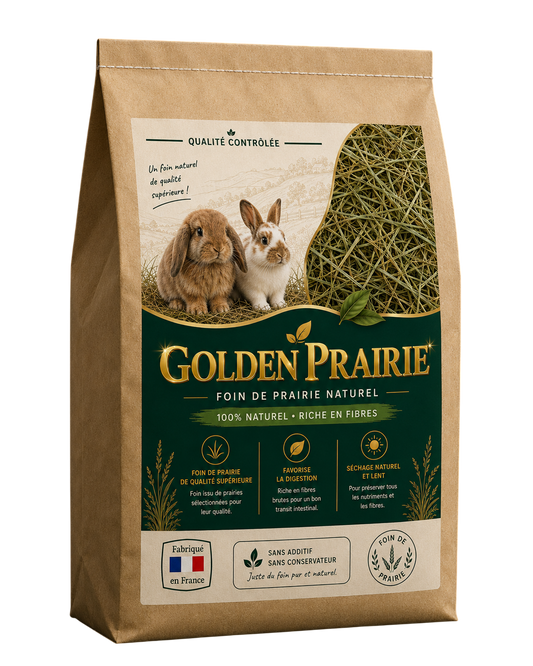 Foin Naturel pour Lapins & Rongeurs – GoldenPrairie™