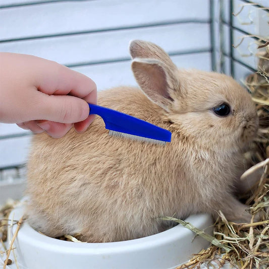 Kit de Toilettage Complet – Lapin & Rongeurs (4 pièces)